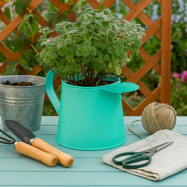 Elan Pitcher Planter Pot for Balcony (Aqua)