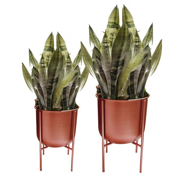 Elan U Planters with Stand (Set of 2)